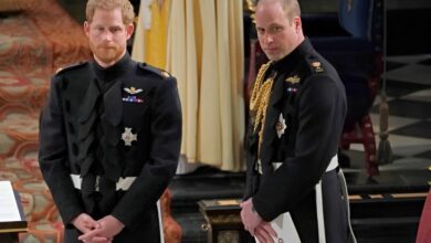 Pangeran Harry Ingin Ambil Alih Takhta William Jadi Raja Inggris