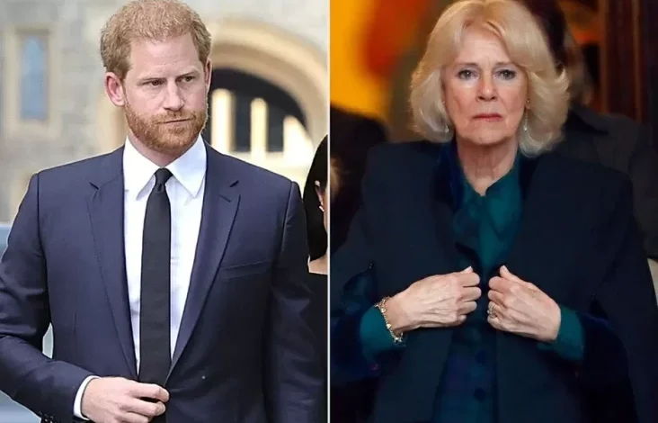 Pangeran Harry Kembali ke Inggris, Ratu Camilla Putuskan Keluar dari Istana