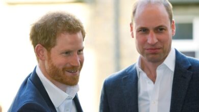 Pangeran Harry Tawarkan Diri Jadi Raja Inggris Gantikan William