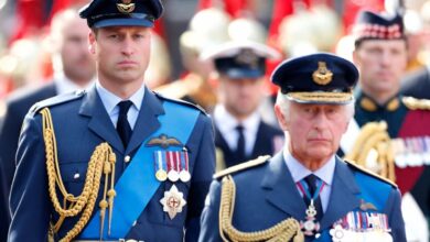 Pangeran William Kantongi Persetujuan Raja Charles III untuk Ambil Alih Kepemimpinan