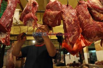 otoritas Diminta Jaga Ketersediaan Daging Sapi pada waktu Ramadan