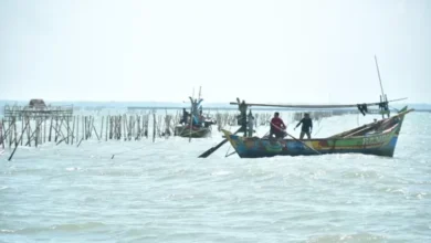 Penegakan Hukum Kasus Pagar Laut Tangerang Diharapkan Berbasis Fakta