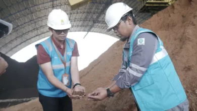 PLN IP Hasilkan Green Energy 814 GWh pada 2024, Tekan Lebih 921.000 Ton CO2