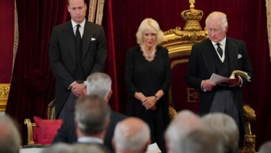 Raja Charles III Percayakan Pangeran William untuk Melindungi Ratu Camilla