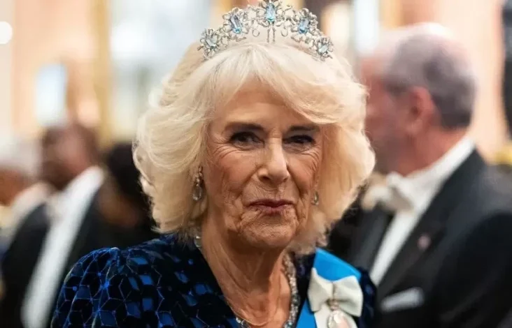Ratu Camilla Kembali Konsumsi Minuman Keras, Ribut dengan Kate Middleton hingga Takut Turun Takhta