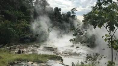 Sungai Paling Ditakuti Makhluk Hidup, Nyebur Langsung Matang