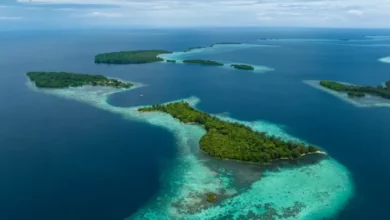 Teonimanu Daratan Misterius di dalam tempat Kepulauan Solomon yang mana digunakan Dipercaya Penyelamat Bumi