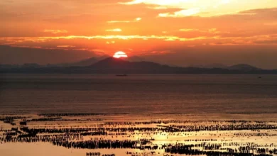 Apakah Air Laut Bisa Mendidih? Hal ini Jawabannya!
