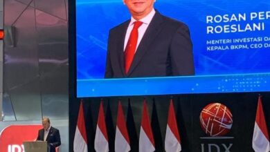 Bos Danantara: Indonesia Punya Ruang Besar bagi Penyertaan Modal Mancanegara