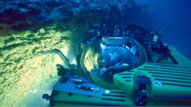 Ekosistem Makhluk-makhluk Misterius Ditemukan di area tempat Dasar Laut