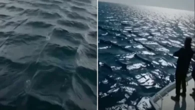 Fenomena Gelombang Ombak Laut Berbentuk Kotak Terjalin di area tempat Turki