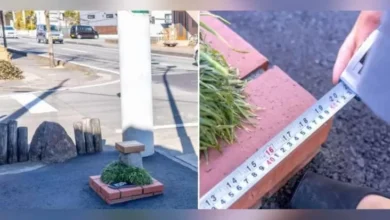 Jepun Ciptakan Taman Terkecil di dalam area Dunia, Segini Ukurannya