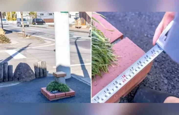Jepun Ciptakan Taman Terkecil di dalam area Dunia, Segini Ukurannya