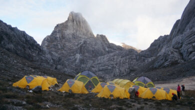 Mengenal Yellow Valley pada area Puncak Carstensz, Tempat Fiersa Besari Terjebak Berhari-hari