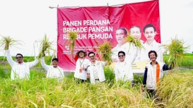 Panen Perdana, Rembuk Pemuda Kepercayaan Wujudkan Swasembada Pangan