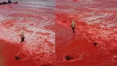 Pantai dalam di Iran Tiba-tiba Berubah Warna Menjadi Merah Darah