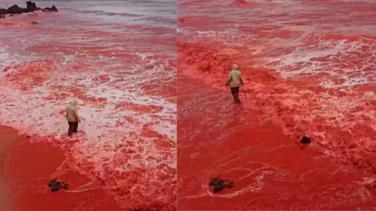 Pantai dalam di Iran Tiba-tiba Berubah Warna Menjadi Merah Darah