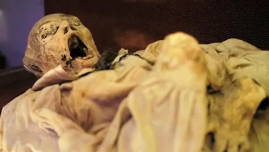 Patogen Misterius yang tersebut mana Dikaitkan dengan Kutukan Mumi Terkuak