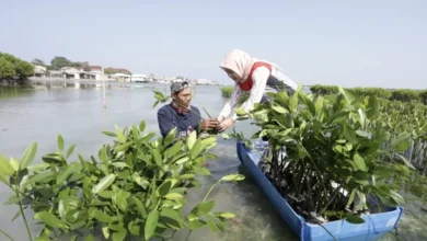 PHE OSES Lestarikan Alam lalu Berdayakan Warga Pesisir