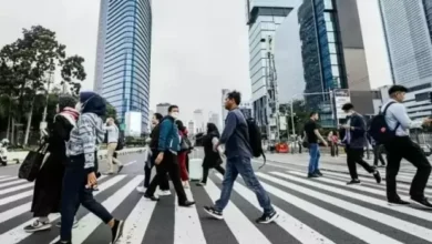 PHK Menyangkut Urusan Perut Ribuan Orang, otoritas Harus Bergerak Kilat sekali