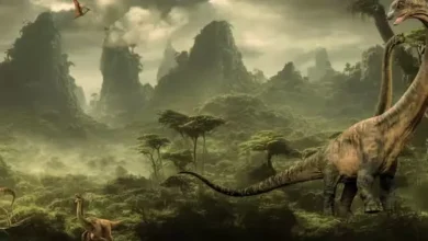 Setiap Dinosaurus Memiliki Warna Bulu yang digunakan Berbeda-beda, Ini adalah adalah Buktinya