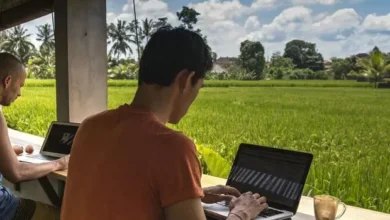 Tak belaka PNS, Pegawai BUMN juga Boleh WFA per 24 Maret 2025
