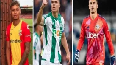 Tok! Paripurna DPR Sahkan Naturalisasi Emil Audero, Joey Mathijs Pelupessy, juga Dean Ruben James