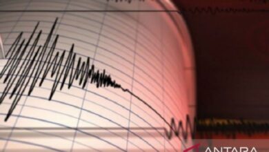 Menkes Turki: Hampir 236 pendatang terluka akibat gempa pada Istanbul