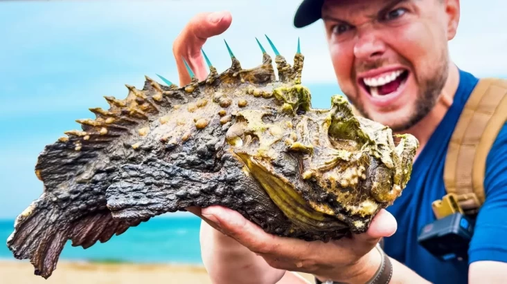 5 Ikan Paling Beracun pada Dunia, Sekali Sentuh Nyawa Melayang!