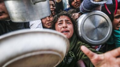 Mesir ungkapkan usulan negeri negeri Israel ke aksi gerakan Hamas persoalan gencatan senjata sementara