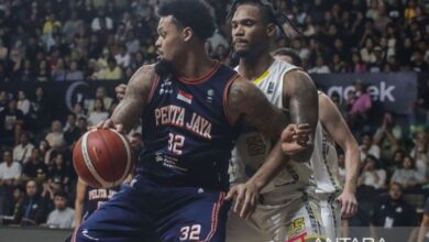 Daftar pemain asing dan juga naturalisasi Pelita Jaya di pada IBL 2025