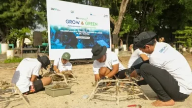 BRI Menanam Grow & Green Transplantasi Terumbu Karang, Selamatkan Ekosistem Laut di NTB