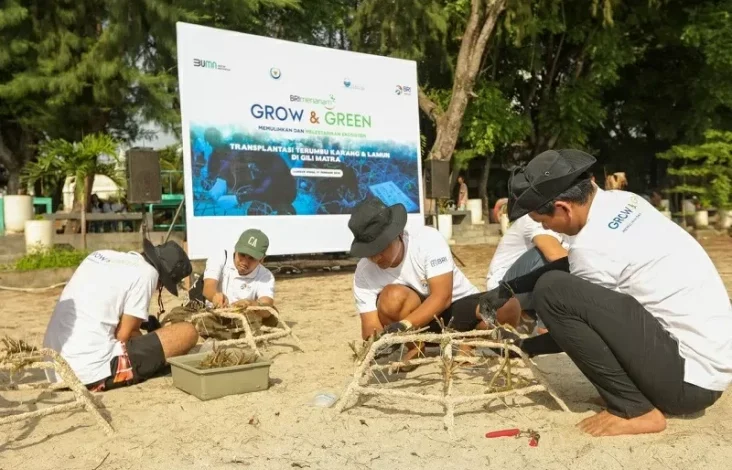 BRI Menanam Grow & Green Transplantasi Terumbu Karang, Selamatkan Ekosistem Laut di NTB