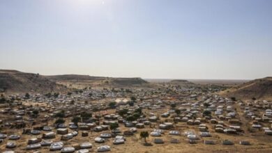 PBB: Separuh penduduk Sudan berisiko alami kelaparan ekstrem