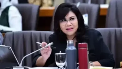 Soroti Kebijakan Trump, Evita Minta pemerintahan Fokus Menguatkan Industri Dalam Negeri