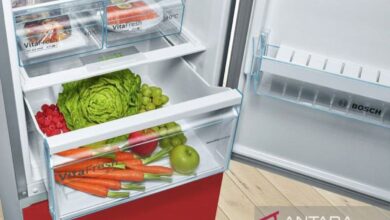 Sederet makanan yang tersebut digunakan sebaiknya tak disimpan pada “freezer”