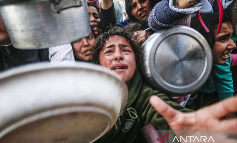 AWG: Kelaparan di dalam di Wilayah Daerah Gaza pembunuhan sistematis oleh negara negeri Israel