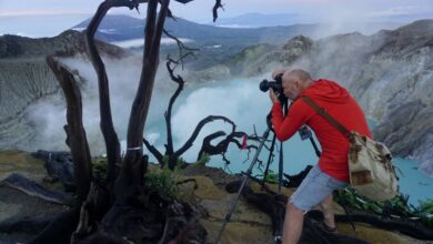 eksekutif melakukan reformasi untuk mengembangkan pariwisata