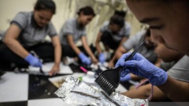 Mengenal bonus demografi, kegunaan dan juga tantangannya